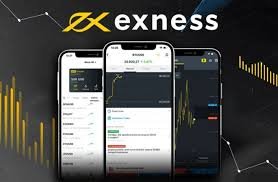 Understanding Exness Account Types for Every Trader 2